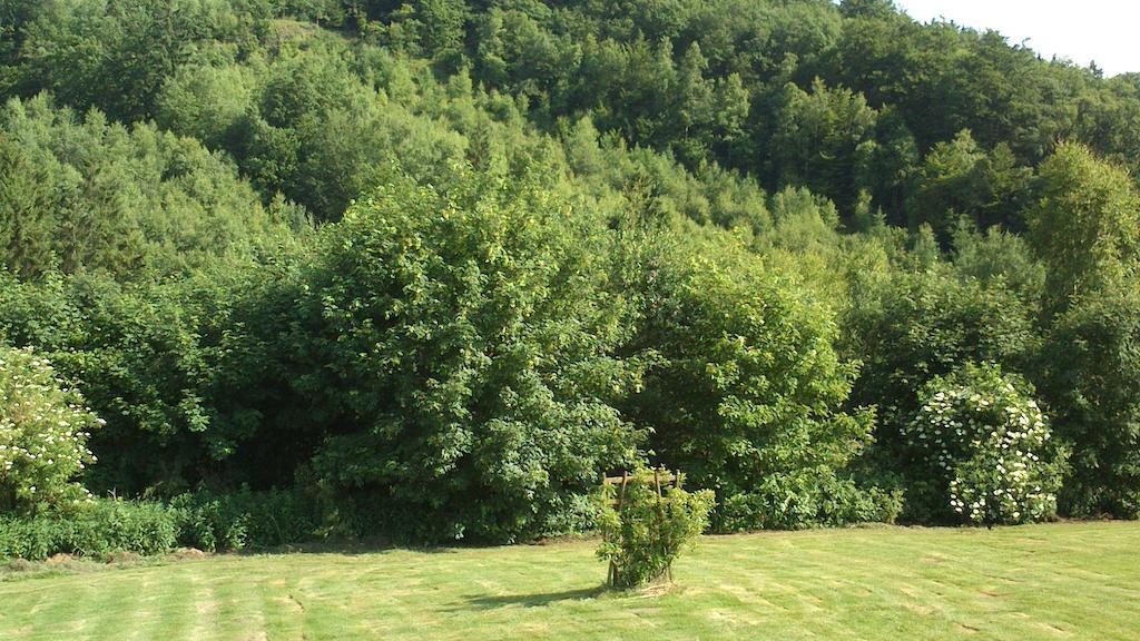 La Cle Des Champs Villa Bertogne Екстериор снимка