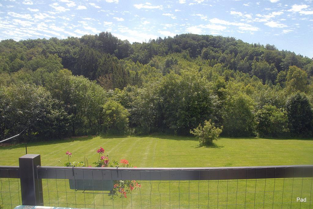 La Cle Des Champs Villa Bertogne Екстериор снимка